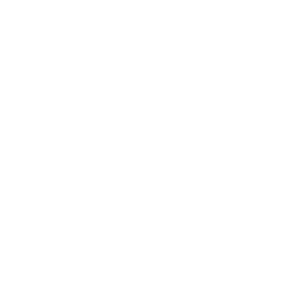 ELECTRA_WHITE_300x300